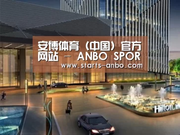 案例展示二