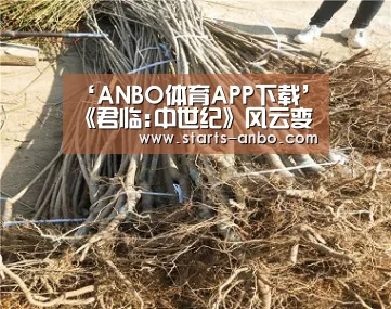 ‘ANBO体育APP下载’《君临:中世纪》风云变幻的时代参与到历史的洪流之中