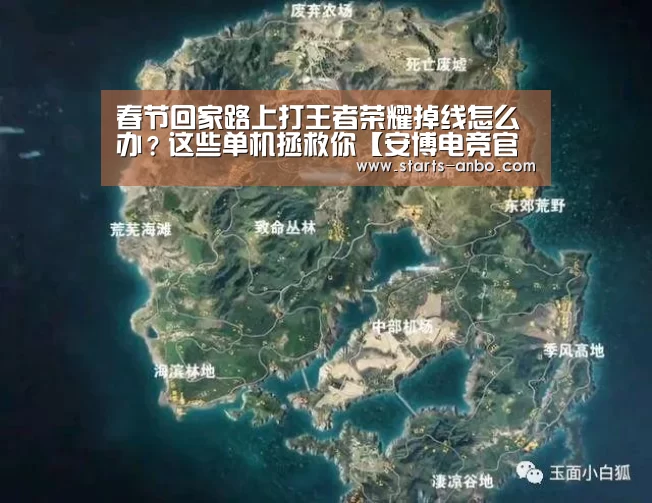 春节回家路上打王者荣耀掉线怎么办？这些单机拯救你【安博电竞官网入口】